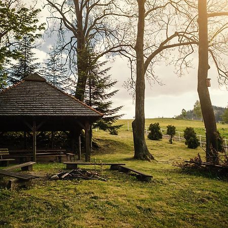Dom Goscinny Biegun Wałbrzych Buitenkant foto